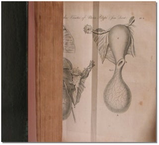 TREATISE ON THE DISEASES OF FEMALES.