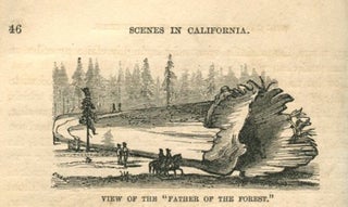 Item #53322 SCENES OF WONDER AND CURIOSITY IN CALIFORNIA: Illustrated by Ninety-two Well Executed...