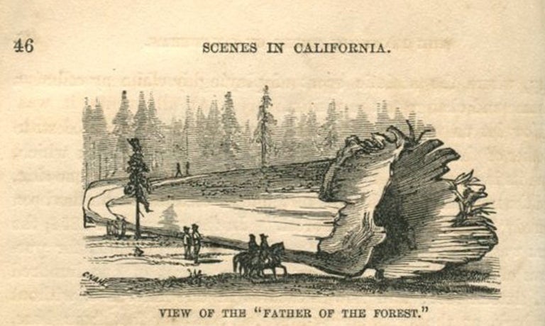 Item #53322 SCENES OF WONDER AND CURIOSITY IN CALIFORNIA: Illustrated by Ninety-two Well Executed Engravings. J. M. Hutchings.