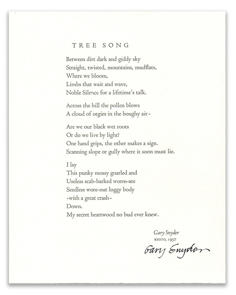 Item #55387 TREE SONG; and DOGWOOD, FOREST - YOSEMITE; [1/50 signed by both the poet and photographer]. Gary Snyder, photographer, Michael Mundy.