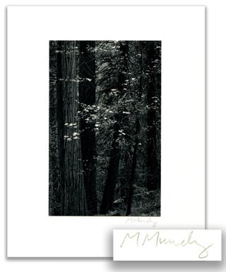 TREE SONG; and DOGWOOD, FOREST - YOSEMITE; [1/50 signed by both the poet and photographer].