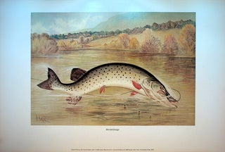 Item #71660 GAME FISHES OF THE UNITED STATES [with 20 watercolor prints suitable for framing]. S....