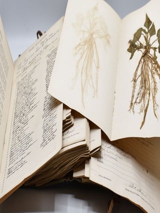 HERBARIUM AND PLANT DESCRIPTIONS.
