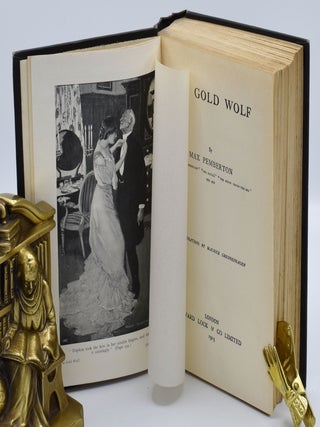 THE GOLD WOLF.